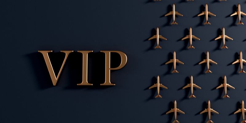VIP 79king chế độ chăm sóc